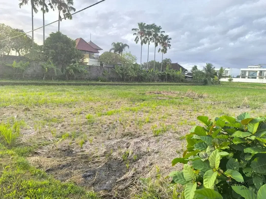 Tanah 16,68 Are Zona Perumahan Dijual, di Kedungu Tabanan Area - Image 2 of 7