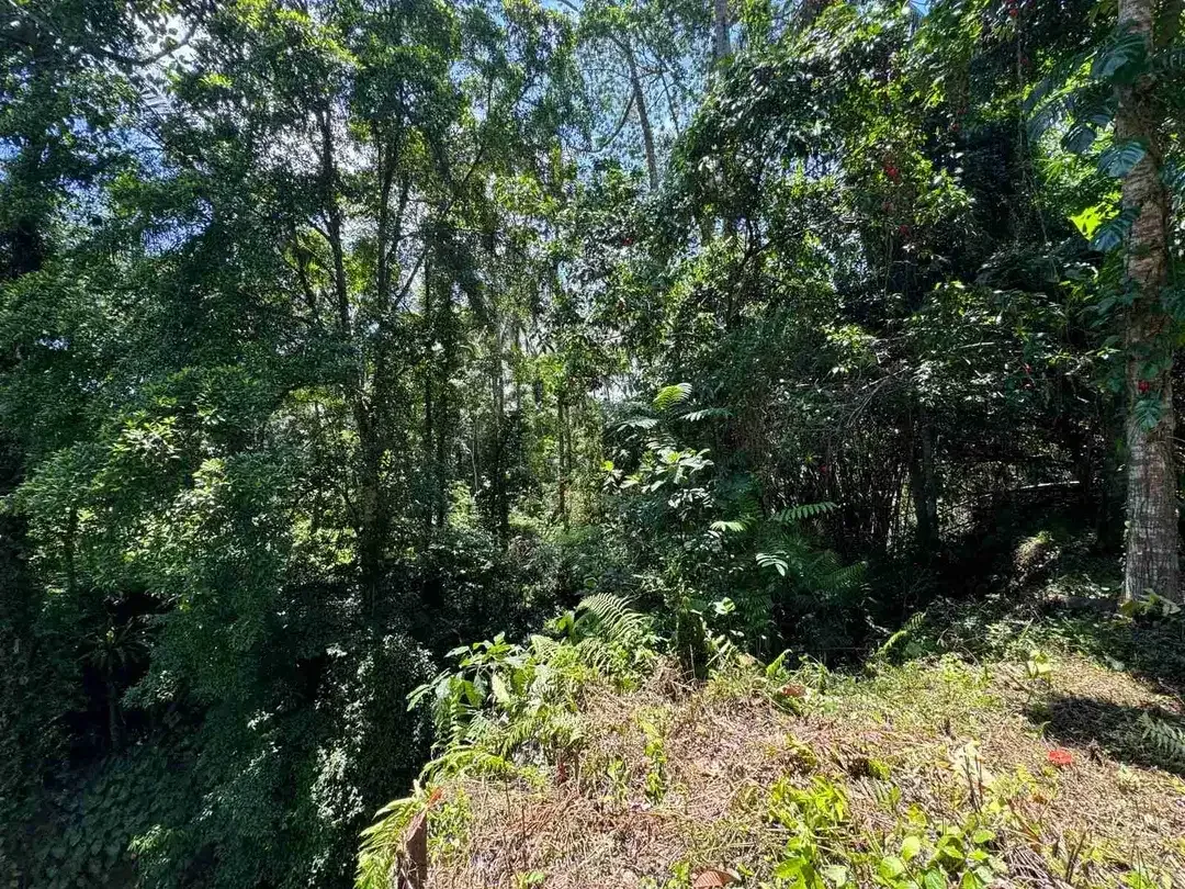 Siap Bangun Vila, Tanah Datar View Sawah di Ubud Gianyar - Image 3 of 10