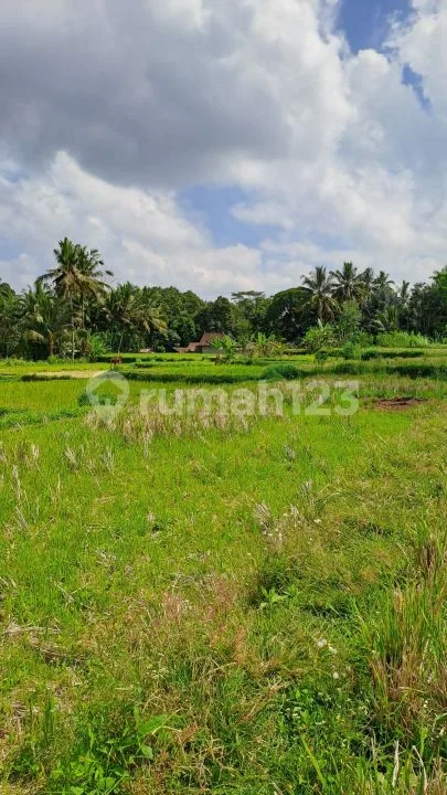 Jual tanah ubud payangan - Image 2 of 4