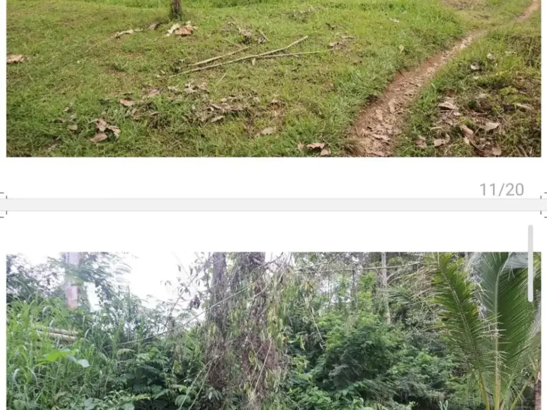 DIJUAL TANAH cocok bagi yang suka alam dan ketenangan - Image 5 of 6