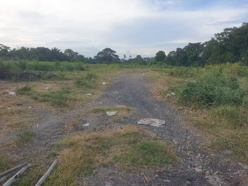 Dijual Tnh 5ha di pinggir Jln raya Bay Pas IB  Mantra ketewel Bali - Image 3 of 10