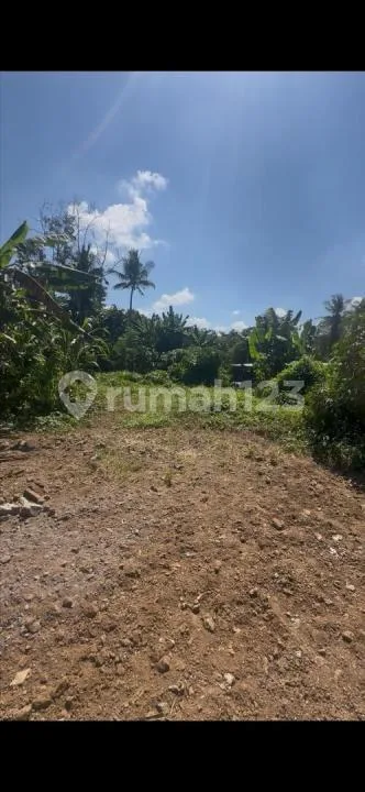 Tanah 5 Are Termurah di Mas Ubud Zona Kuning - Image 2 of 4