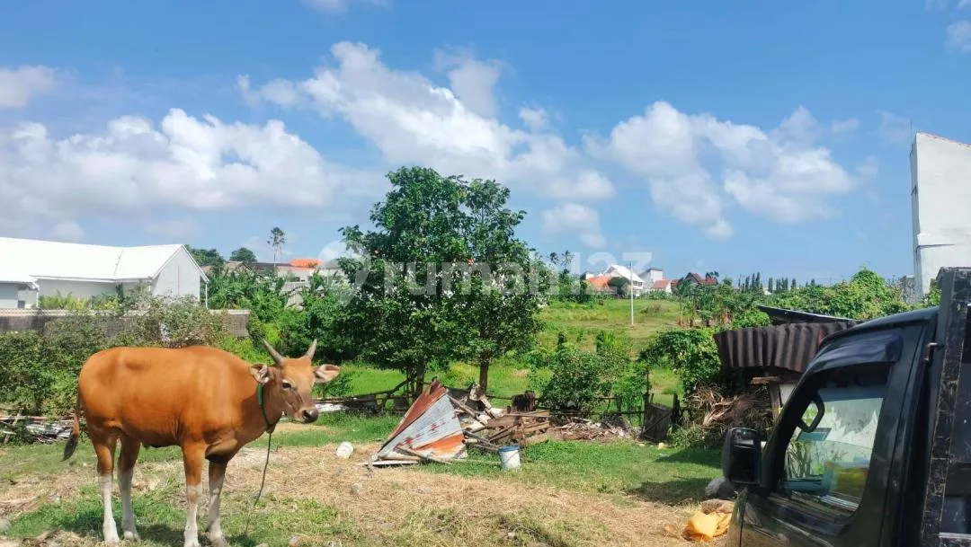 Dijual Tanah / Disewakan Tanah Lokasi Umalas Bumbak , Sangat Cocok untuk Komplex Vila atau Investasi - Image 3 of 4