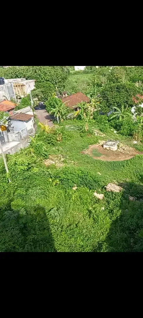 Leasehold ungasan bali - Image 2 of 4