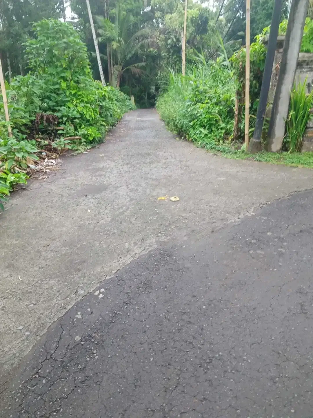 Tanah 15 Are di Raya Kelusa Payangan Gianyar Dekat Ubud Bresela Keliki - Image 2 of 7