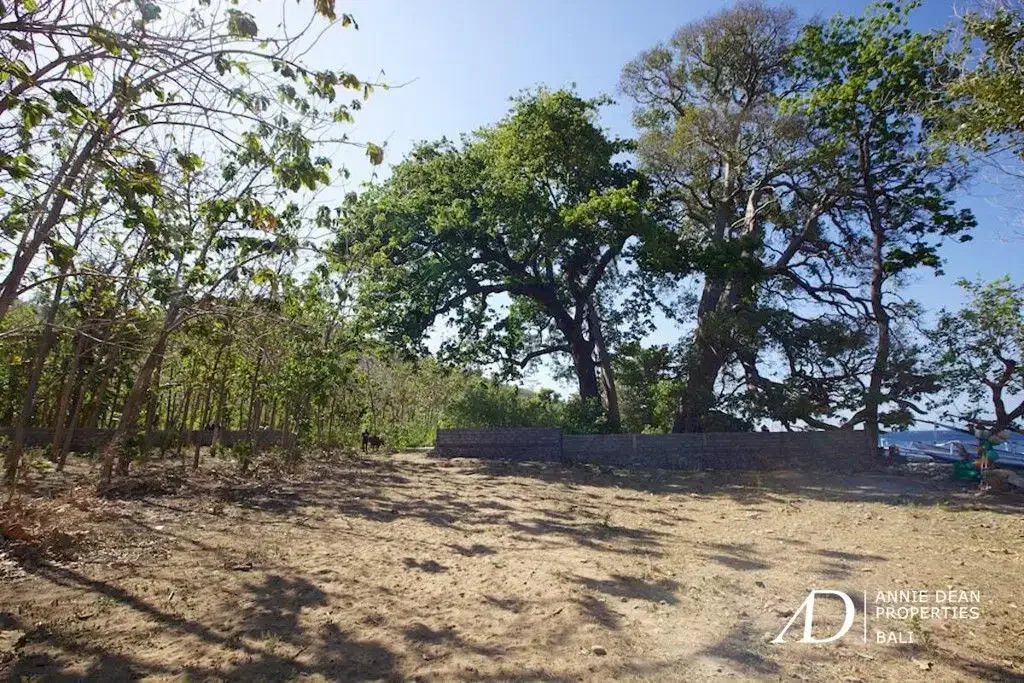 FREEHOLD COMMERCIAL BEACHFRONT LAND IN AMED - Image 3 of 6