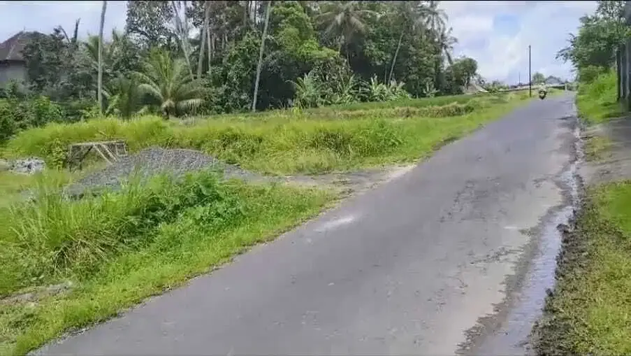 Tanah Datar Los Sungai View Sawah di Pejeng Kangin Ubud - Image 4 of 10