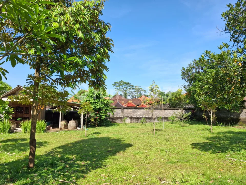 Dijual Tanah Murah Dekat Bali Zoo - Ubud Area | Area Pariwisata - Image 1 of 4