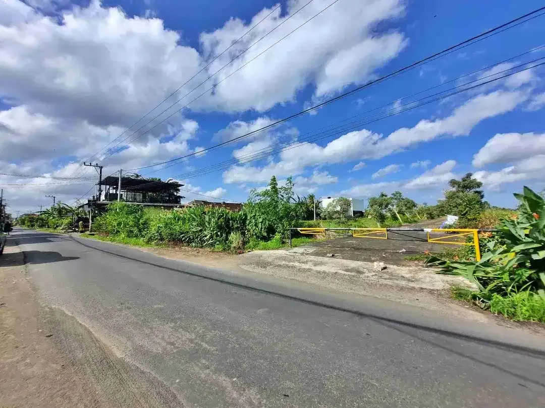 Tanah Premium 500m² Surf Area Kedungu - Image 4 of 10