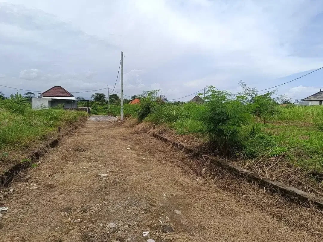 Kavling Murah View Sawah, Gunung, dan Ocean di Pering Gianyar - Image 4 of 7