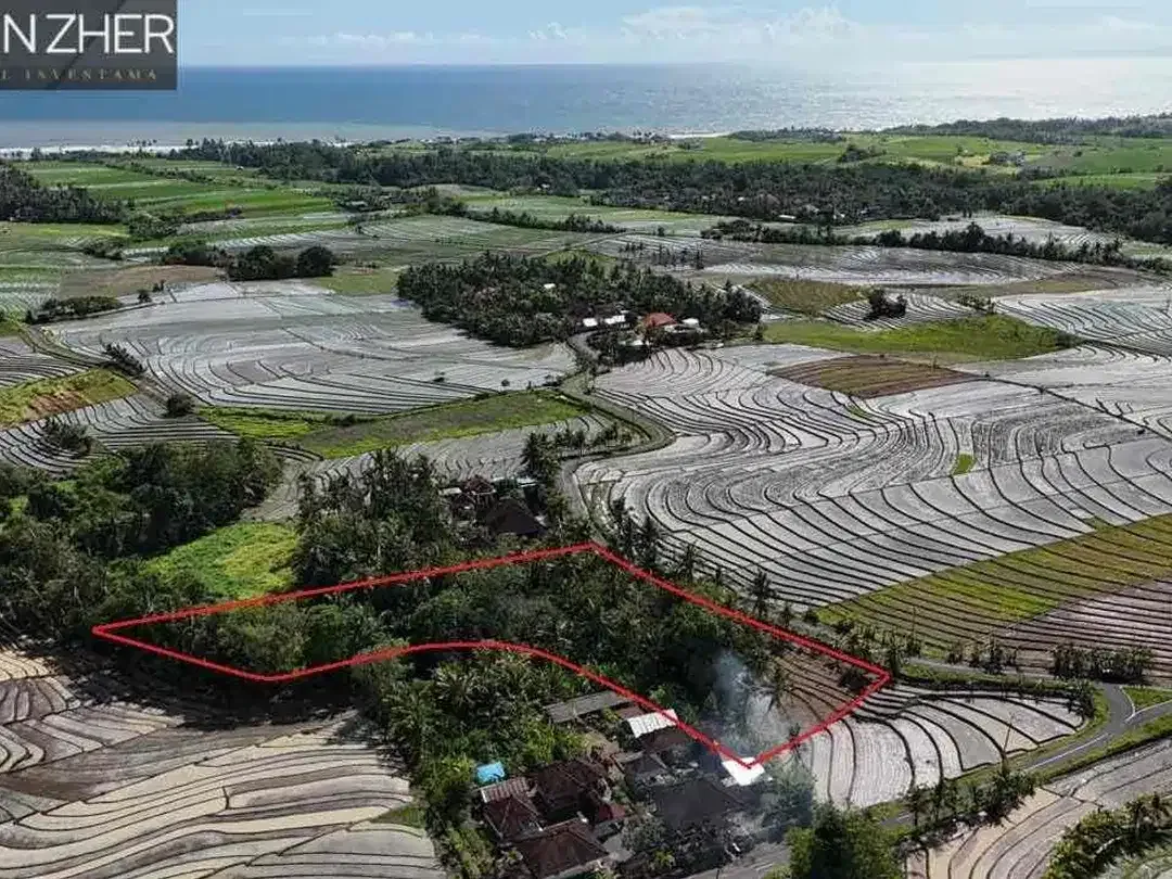 Tanah murah jarang ada view sawah cocok untuk homestay,villa karena dekat pantai di beraban tabanan - Image 8 of 10