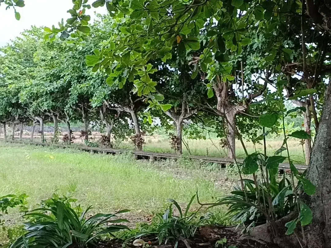 Di Jual Tanah area pantai sanur Bali - Image 1 of 10