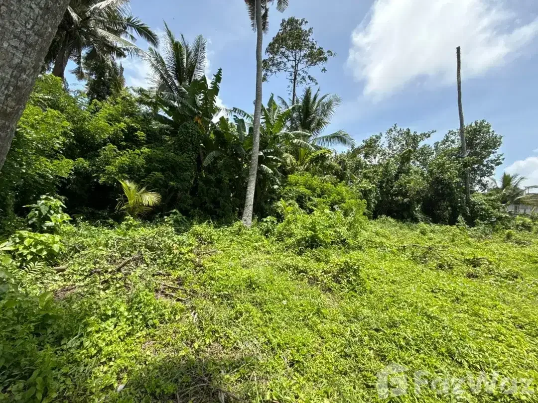 Land for sale in Kedungu, Bali - Image 9 of 10