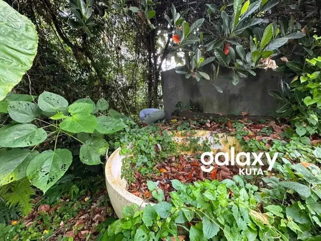 DIJUAL TANAH JUNGLE VIEW DEKAT RS SANJIWANI DI BITERA GIANYAR - Image 2 of 10