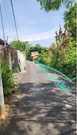 Tanah Bagus di jl. Belong bunter pecatu Bali - Image 2 of 10