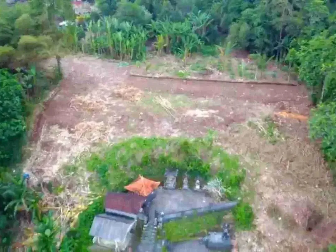 Tanah Kavling Villa View Sawah, Sungai & Laut, Harga Ekonomis di Kelating, Kerambitan, Tabanan dekat Pantai - Image 3 of 10