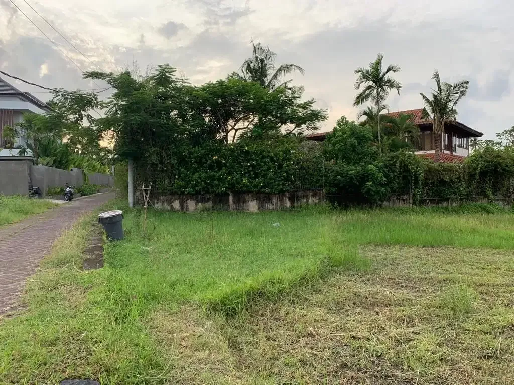 DIJUAL TANAH VIEW SAWAH LOKASI PERERENAN - Image 4 of 10