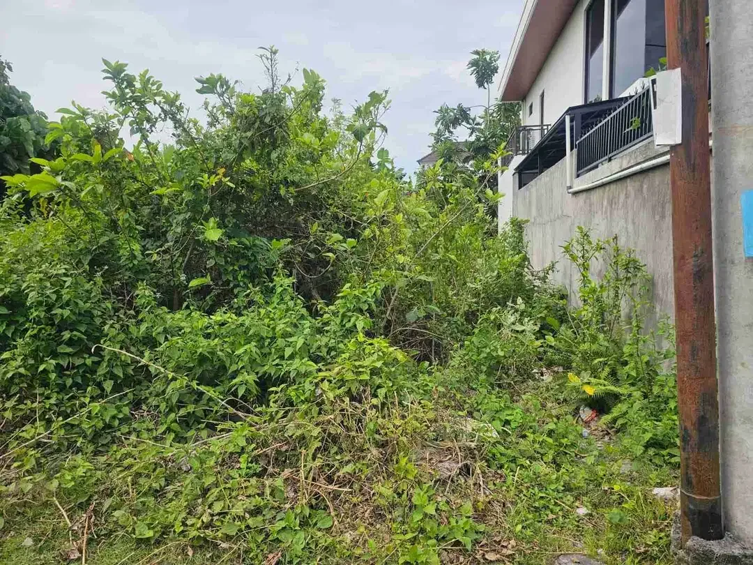 DIJUAL TANAH MERTANADI SEMINYAK KUTA - Image 3 of 8