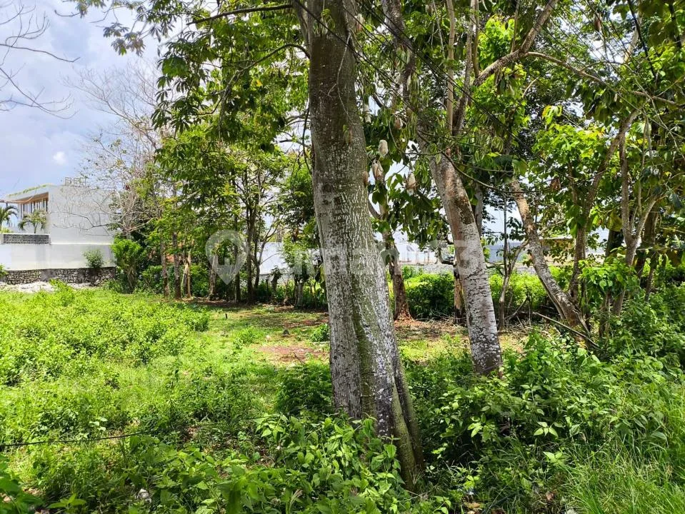 D Ready To Build Land Suitable For Investment Or Priv Villa - Image 3 of 4