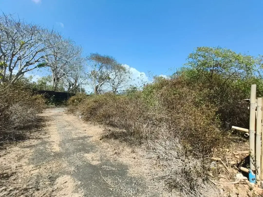 Tanah Jual Jl. Karang Biru, Sawangan, Nusa Dua - Image 5 of 10
