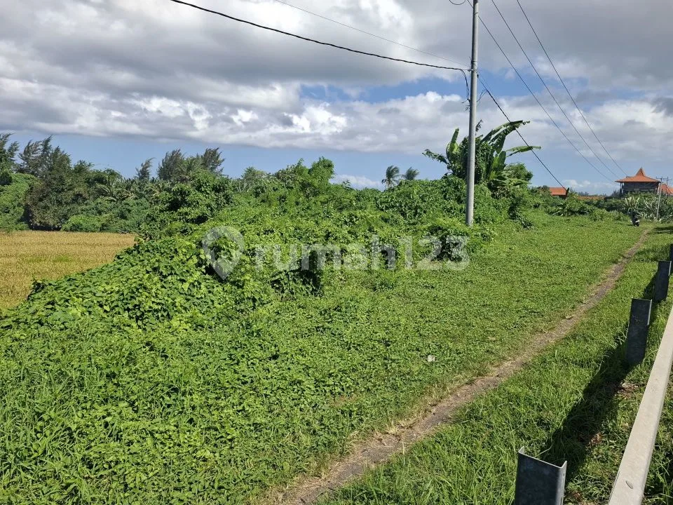 Tanah Premium di Jl Bypass Prof Mantra Cocok Dibangun Gudan - Image 4 of 4