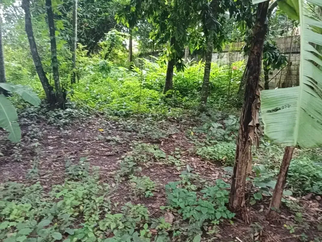 Dijual tanah komersil los sungai lokasi kaba kaba Dekat ke pantai seseh munggu - Image 3 of 8