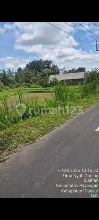 Jual Tanah di Payangan -Ubud - Image 3 of 4