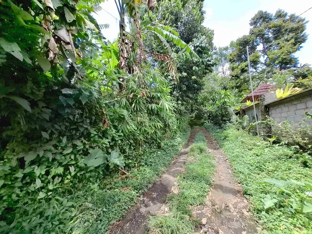 tanah luasan kecil berada di kawasan jatiluih - Image 6 of 7