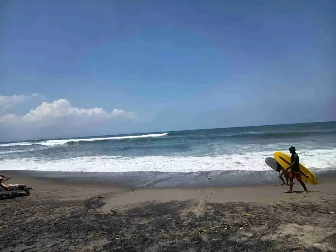 DIJUAL TANAH MURAH LOS PANTAI BATU BOLONG  CANGGU BALI - Image 3 of 8