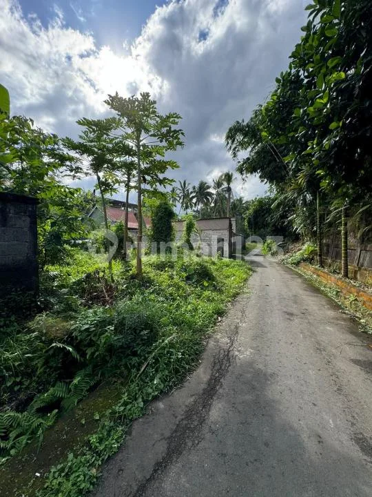 Dijual Murah Buc Tanah Ubud, Tampaksiring Area Sejuk Nyaman Asri - Image 2 of 4