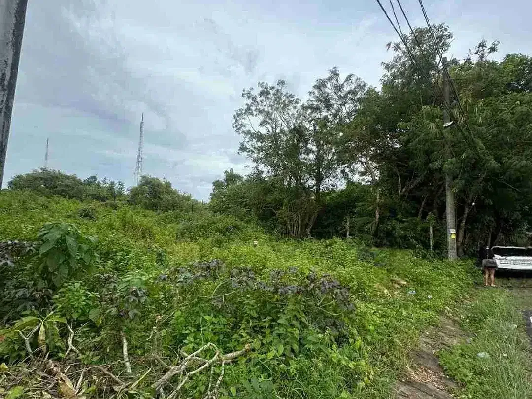 Tanah komersil itr perdagangan jasa Raya Dharmawangsa Kutuh Bali - Image 2 of 9