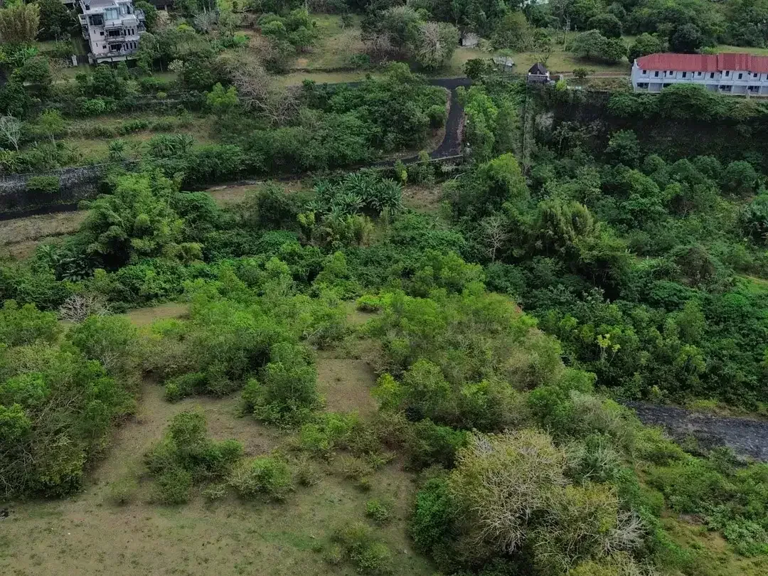 BUC Dijual Tanah di Kampial, Kutuh, Nusa Dua - Image 4 of 8