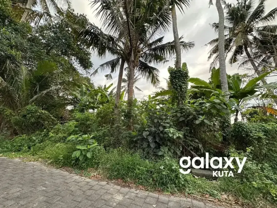 DIJUAL TANAH VIEW SAWAH DEKAT RS KASIH IBU DI TOJAN BLAHBATUH - Image 9 of 10