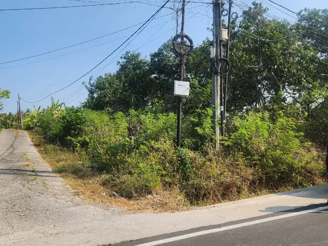 Tanah Industri 94 Are di Lelateng, Pengambengan – SHM & Zona Industri, Siap Dikembangkan - Image 4 of 10