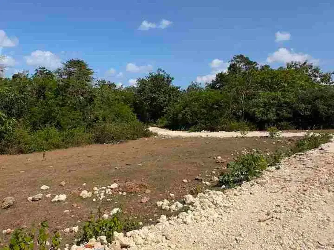 Dijual Tanah Murah 800m2 Posisi Hook Untuk Investasi - Image 1 of 8