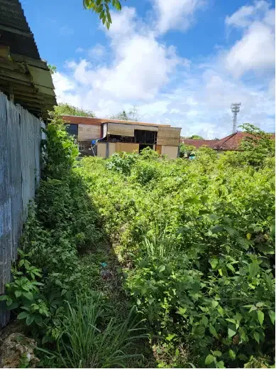 Tanah Murah 5 Are dekat Villa Airis Ungasan - Image 3 of 8