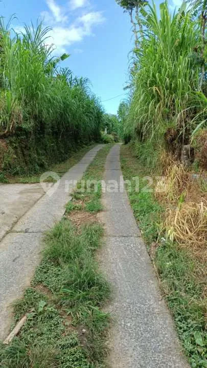 Dijual Tanah Shm Murah 760 M2 Di Wanagiri Buleleng Bali - Image 4 of 4