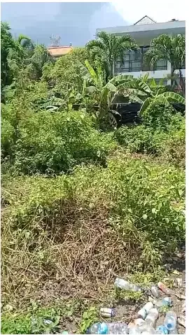 tanah di Lingkungan kampus Unud dan kampus poltek,Jimbaran,KUTA Selat - Image 9 of 10