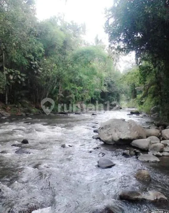 Tanah Tepi Sungai Ayung Ubud Dijual - 3,5 Ha Pink Zone - 14 SHM - Investasi Resort & Luxury Villa - Image 2 of 3