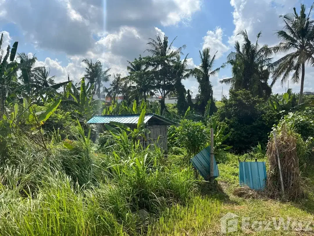 Land for sale in Mengwi, Bali - Image 4 of 10