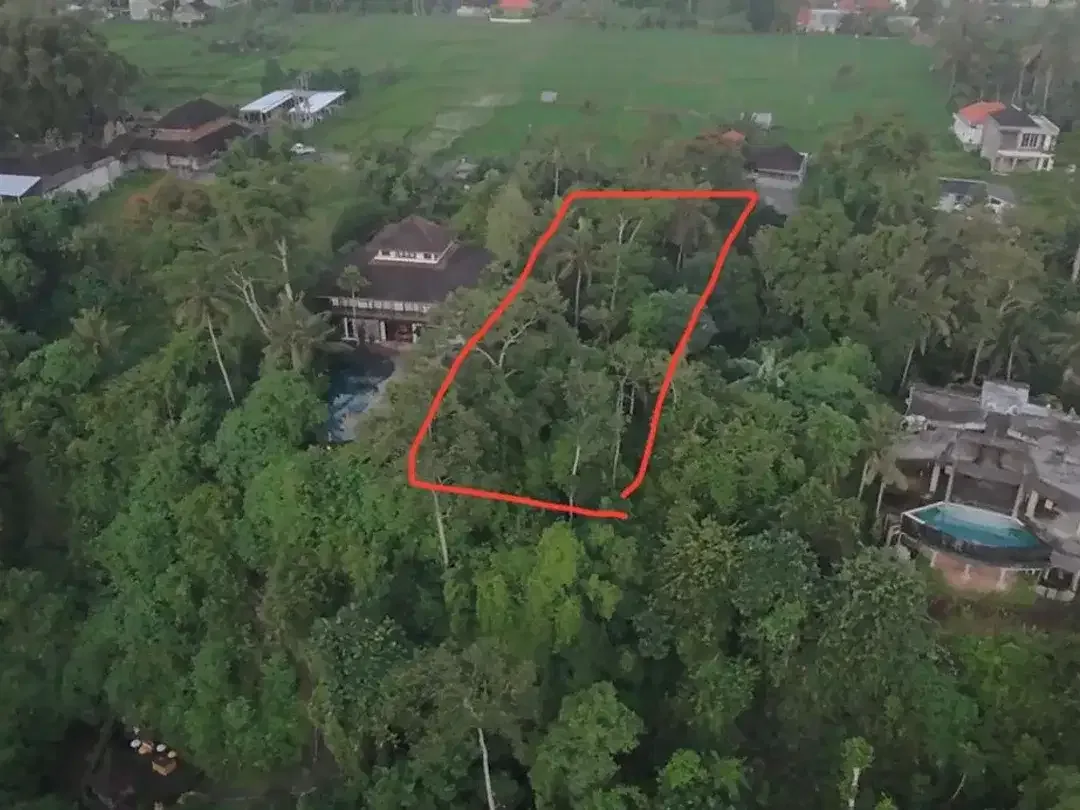 Exceptional Leasehold Land in Ubud - 19 Are Prime Land with Peaceful Jungle View near Ubud Center - Image 10 of 10
