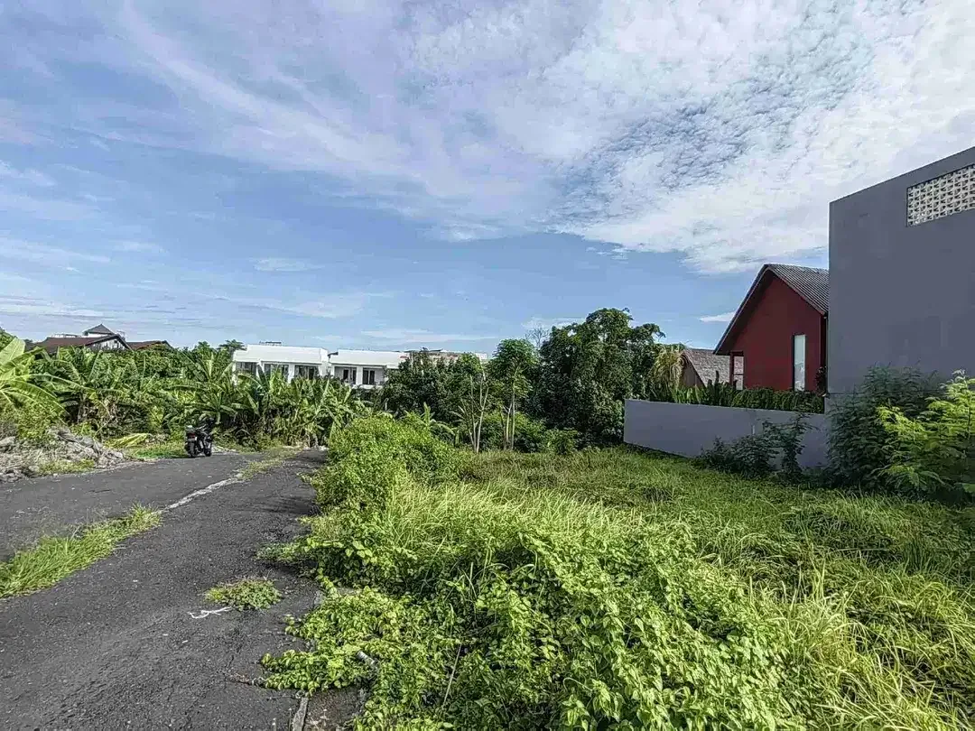 Tanah Premium Jl Ambengan Shortcut Canggu - Image 4 of 10
