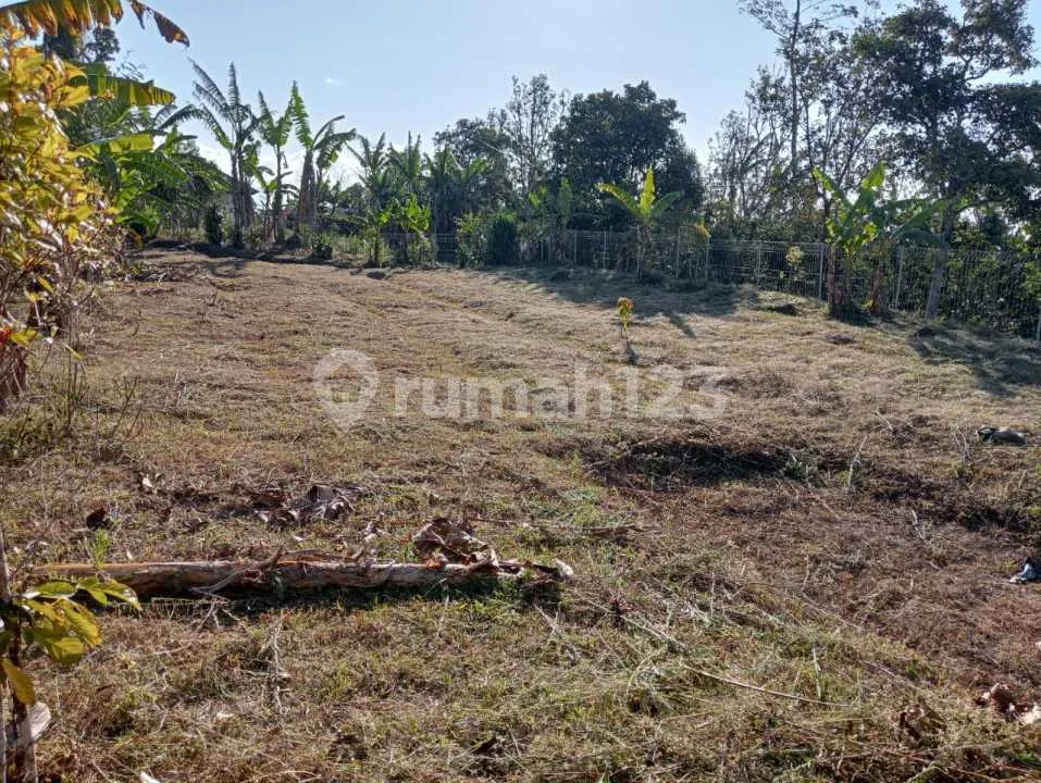 Dijual Tanah Shm Murah 760 M2 Di Wanagiri Buleleng Bali - Image 2 of 4