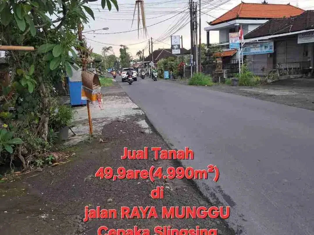 Jual Tanah 49,9are di jln RAYA MUNGGU Cepaka Slingsing, dkt Tumbak bayuh, pererenan Bali - Image 5 of 10
