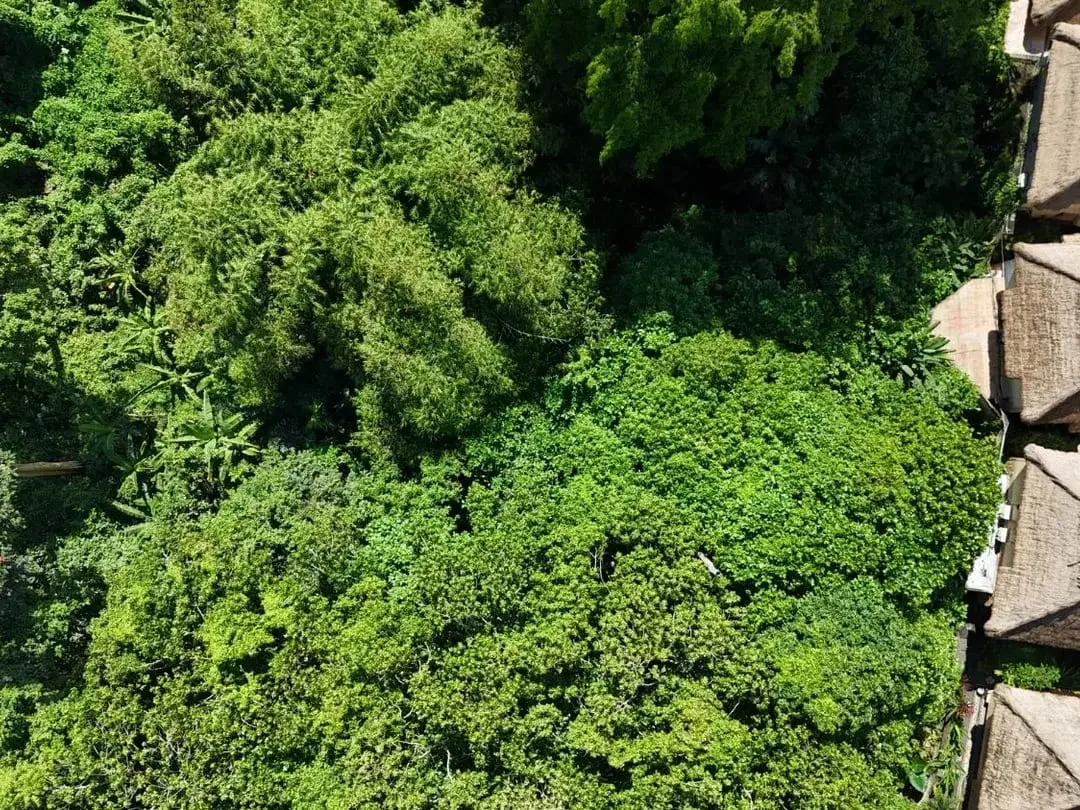 Land For Lease In Central Ubud - Image 3 of 7