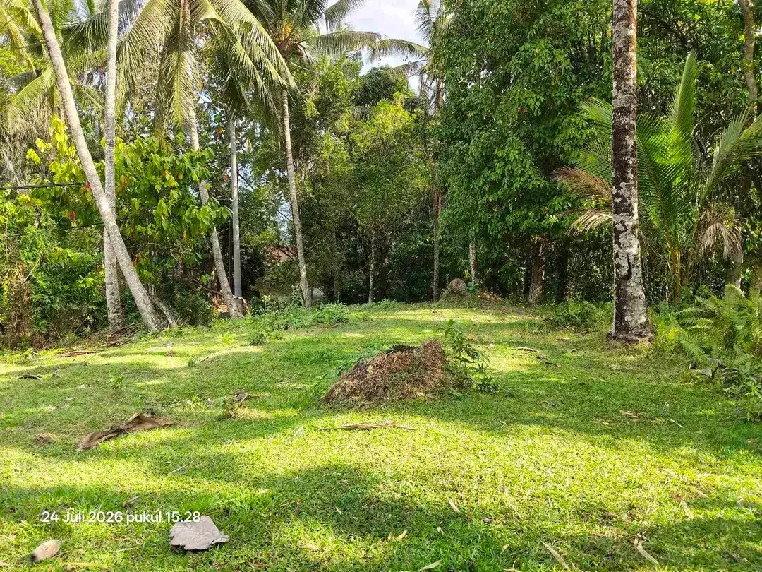 Tanah Zona Kuning View Sungai Kecil di Selemadeg Bali - Image 2 of 4