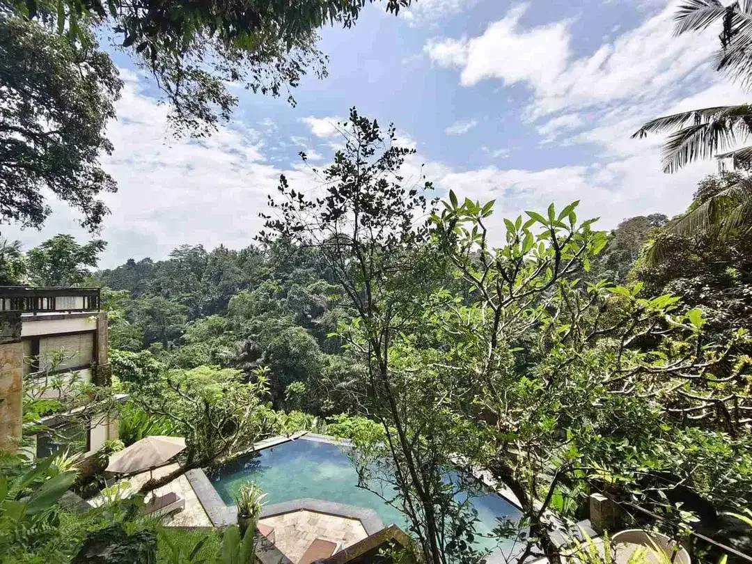 Tanah bonus bangunan hotel kedewatan ubud Bali - Image 3 of 10