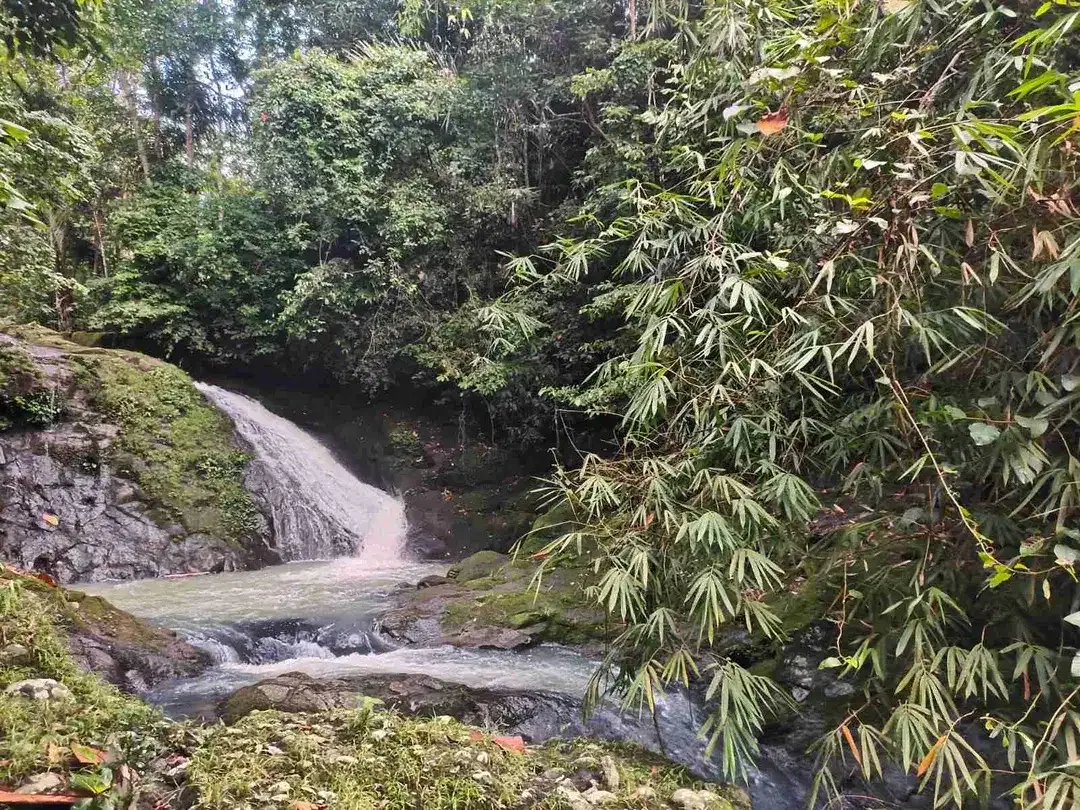 jual tanah kebun view air terjun kawasan villa di tabanan bali. - Image 1 of 10