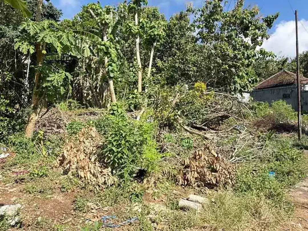 DIJUAL TANAH LINGKUNGAN VILLA – JIMBARAN, BALI - Image 8 of 10