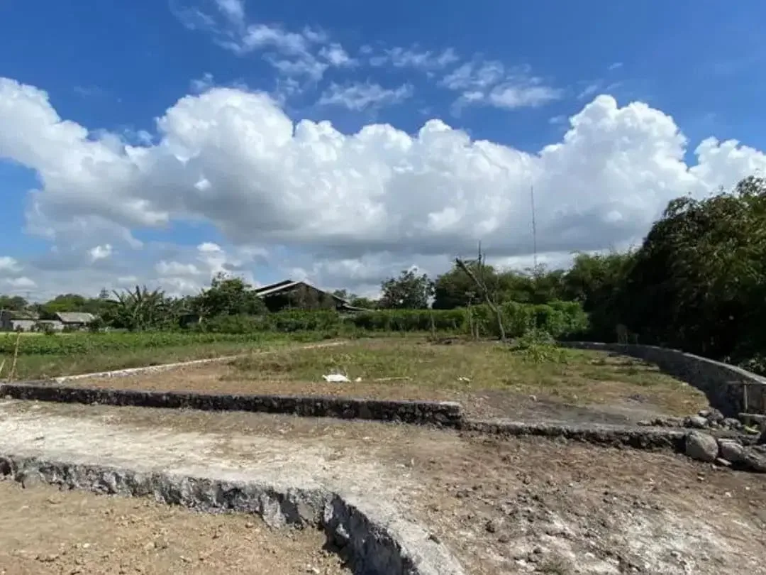 TANAH SUBAK TELAGA KETEWEL GIANYAR - Image 2 of 8